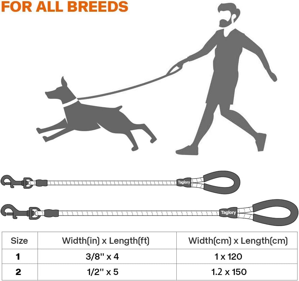 Reflective Rope Dog Leash with Padded Handle