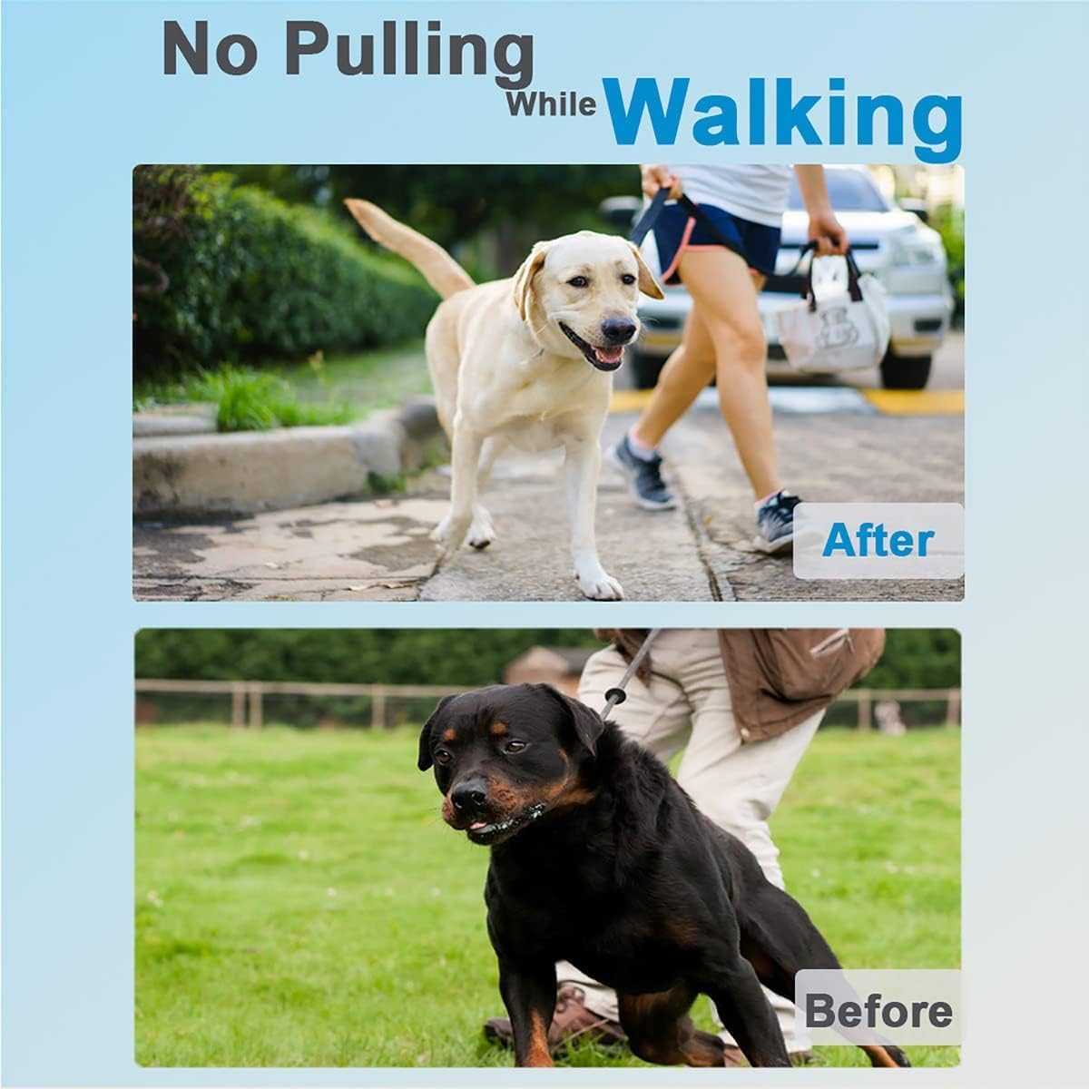 Adjustable No Pull Prong Dog Collar