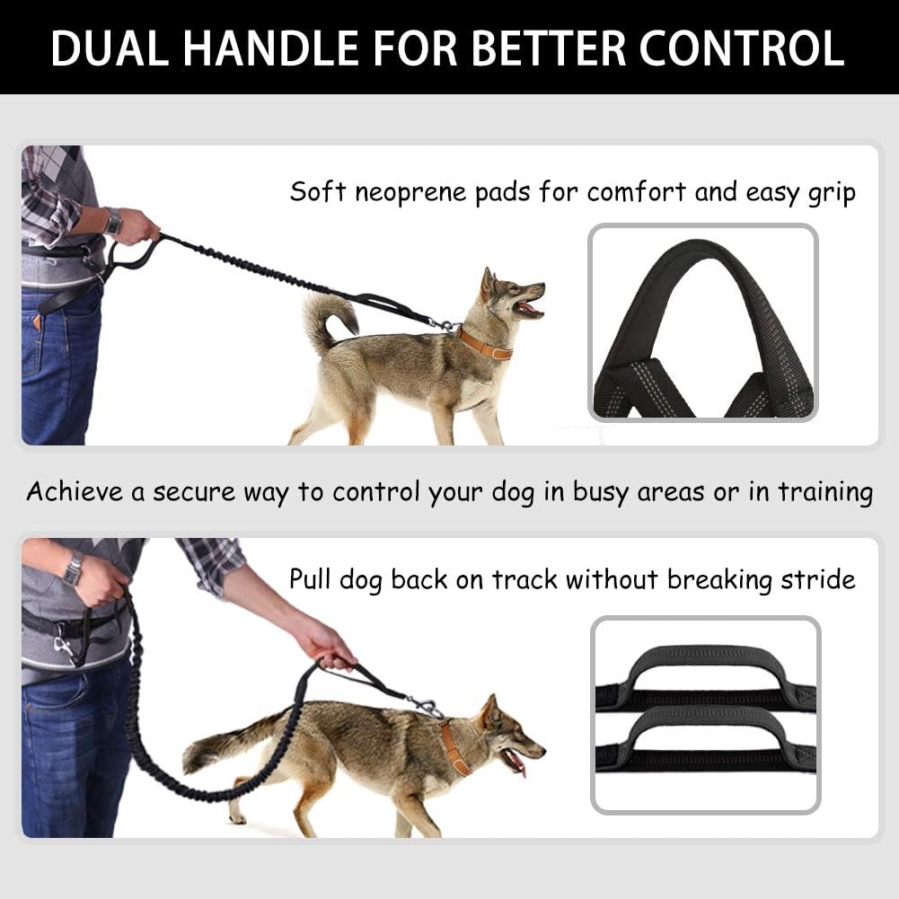 Hands Free Dog Running Leash with Pouch