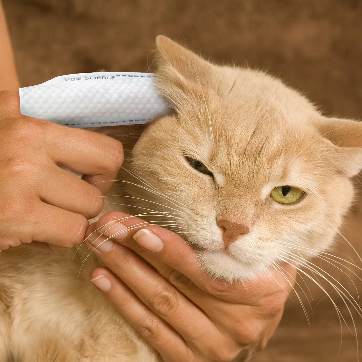 Dog Ear Cleaning Finger Wipes