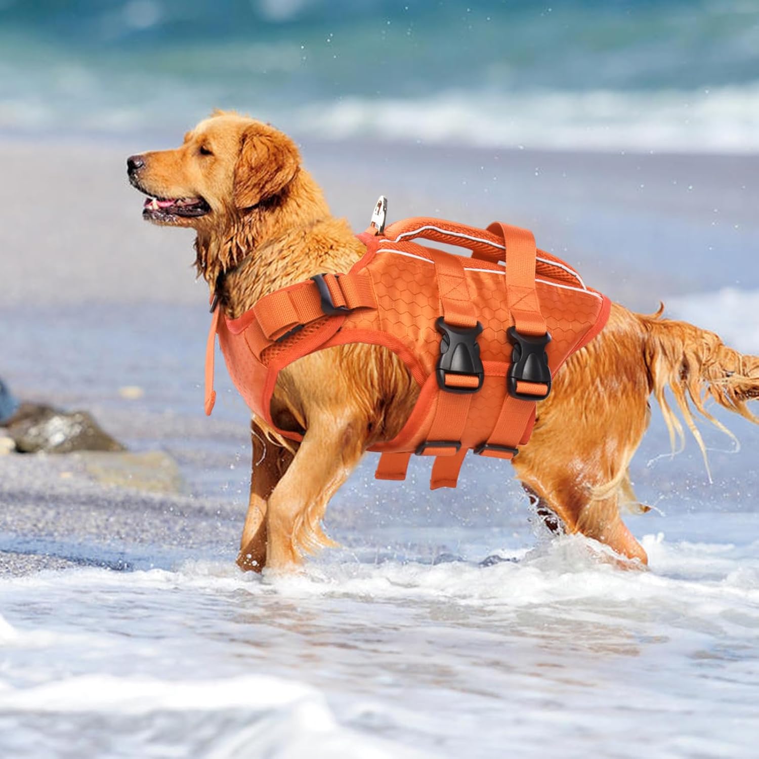 Reflective Dog Life Jacket Swim Vest