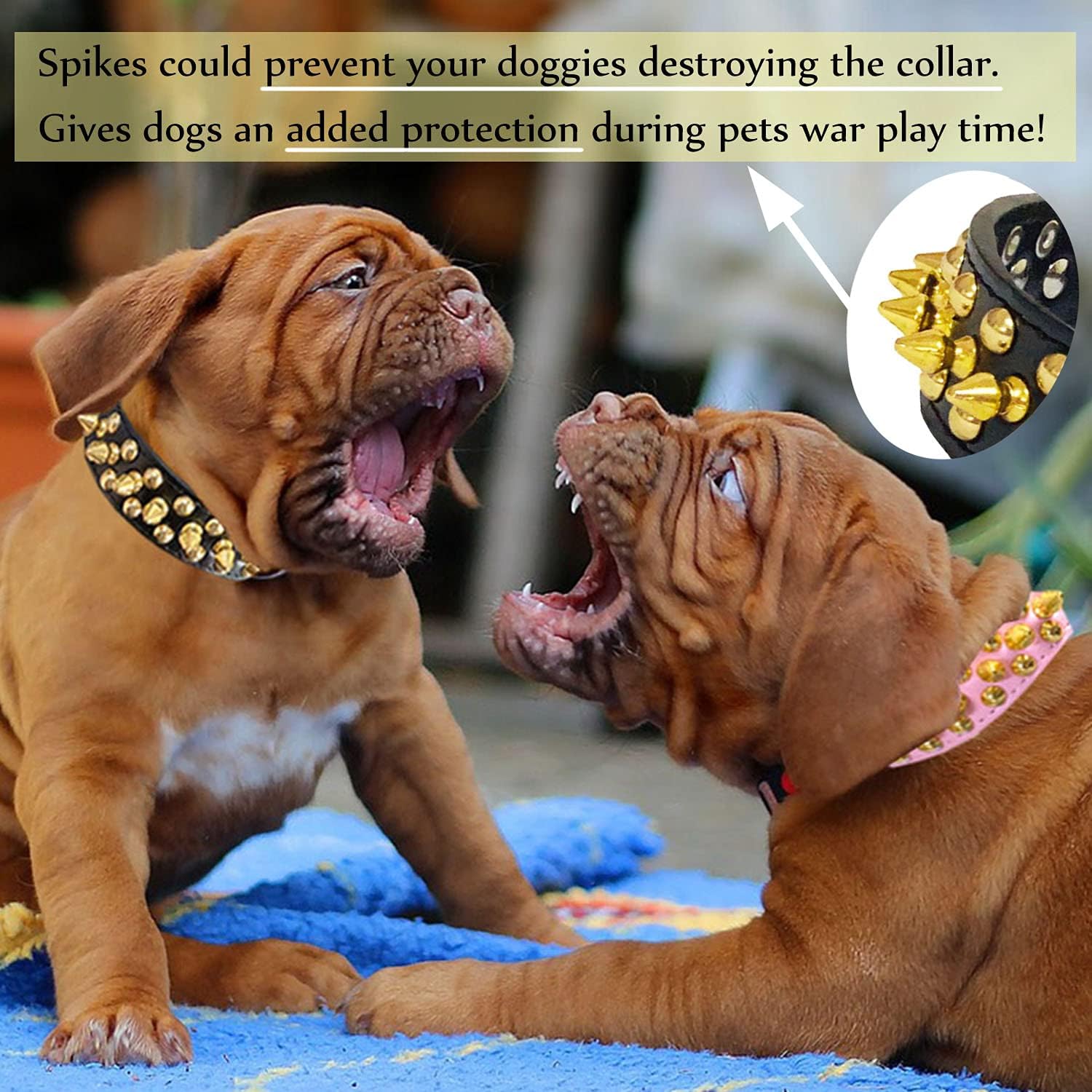 Black Leather Spiked Dog Collar Gold Studs
