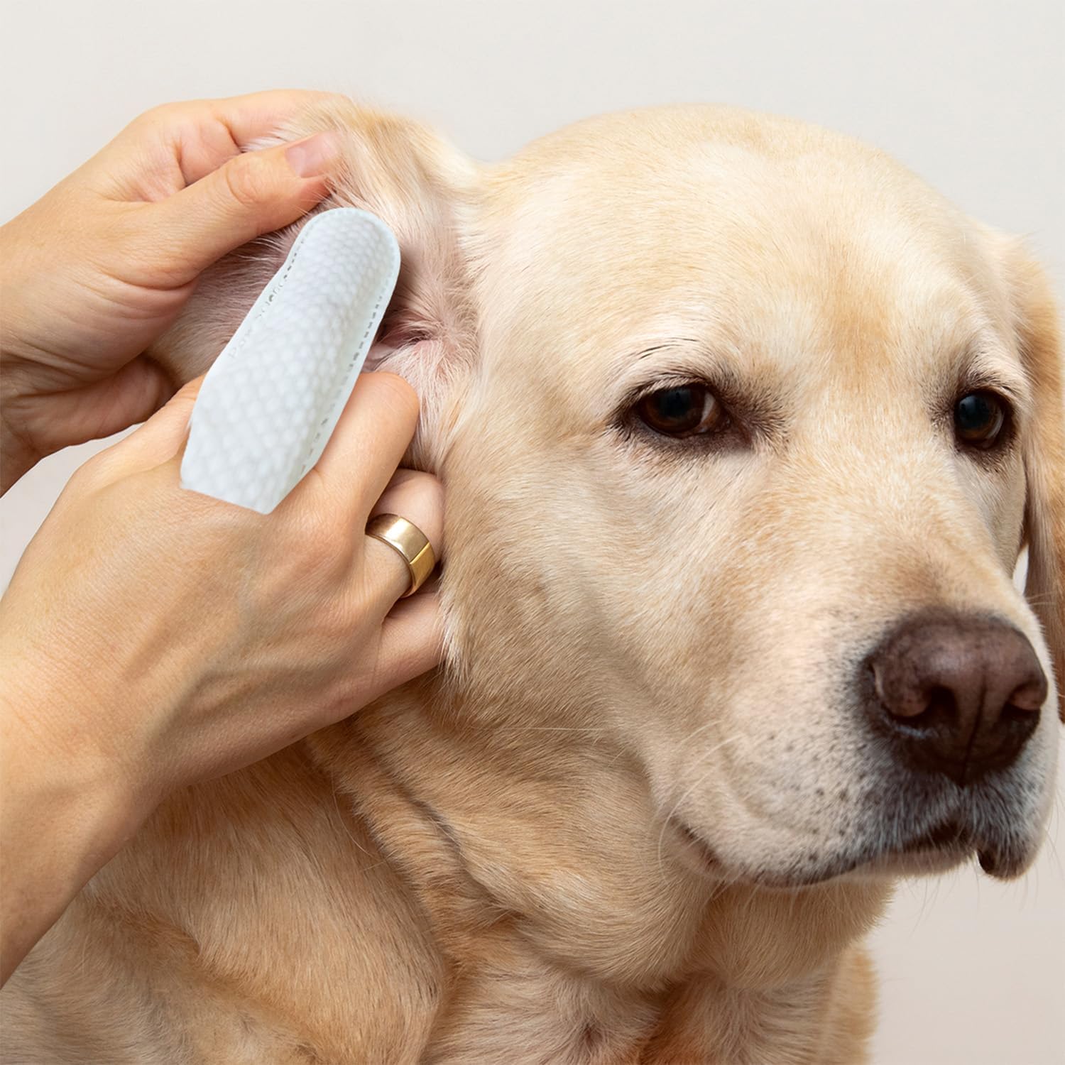 Dog Ear Cleaning Finger Wipes
