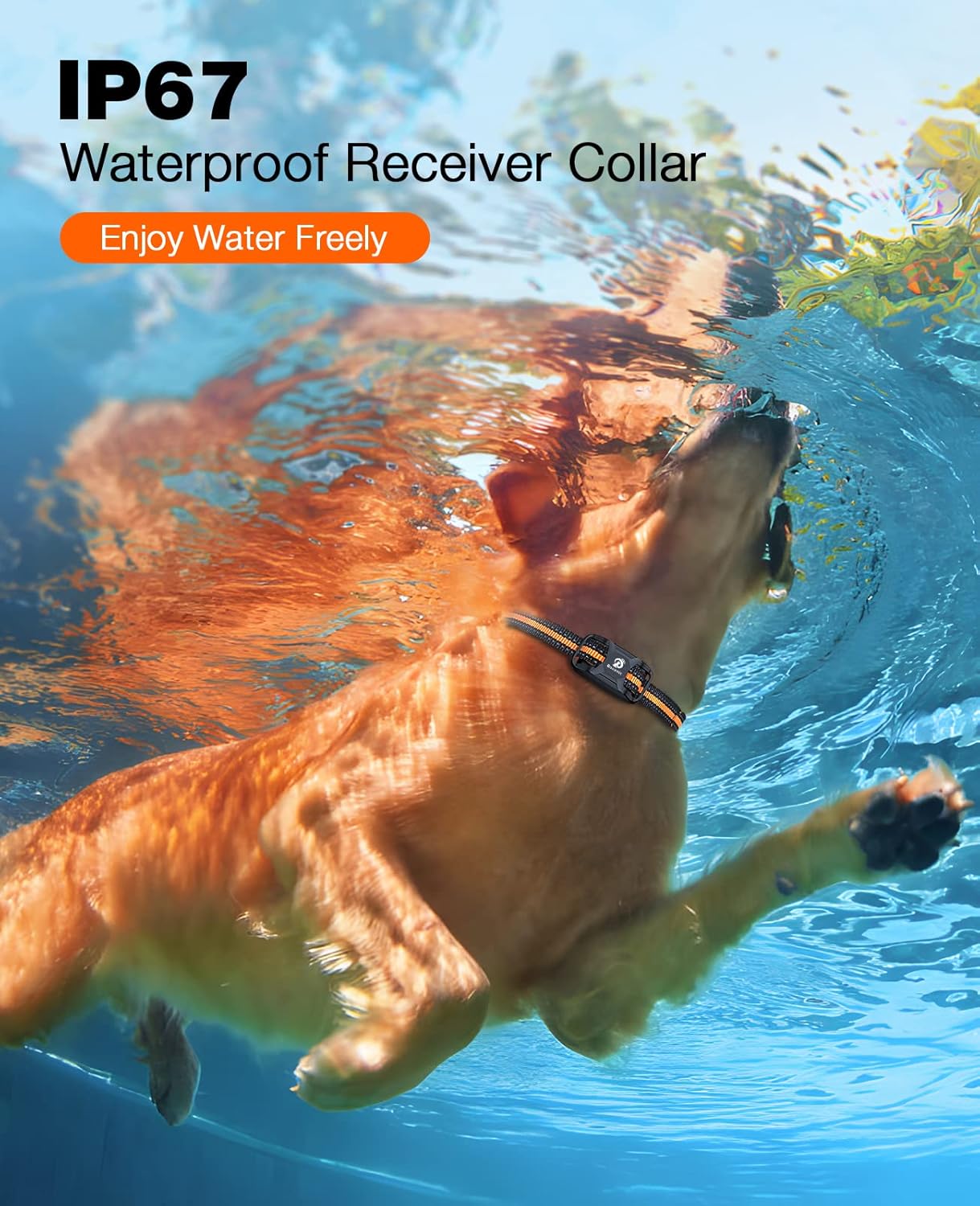 Waterproof Dog Shock Collar with Remote