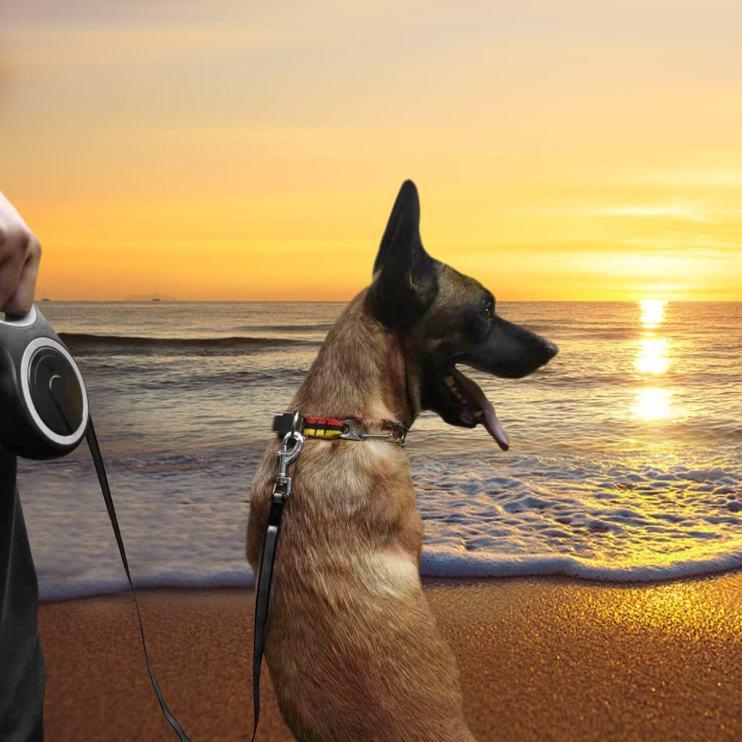 Heavy Duty Retractable Dog Leash 26FT