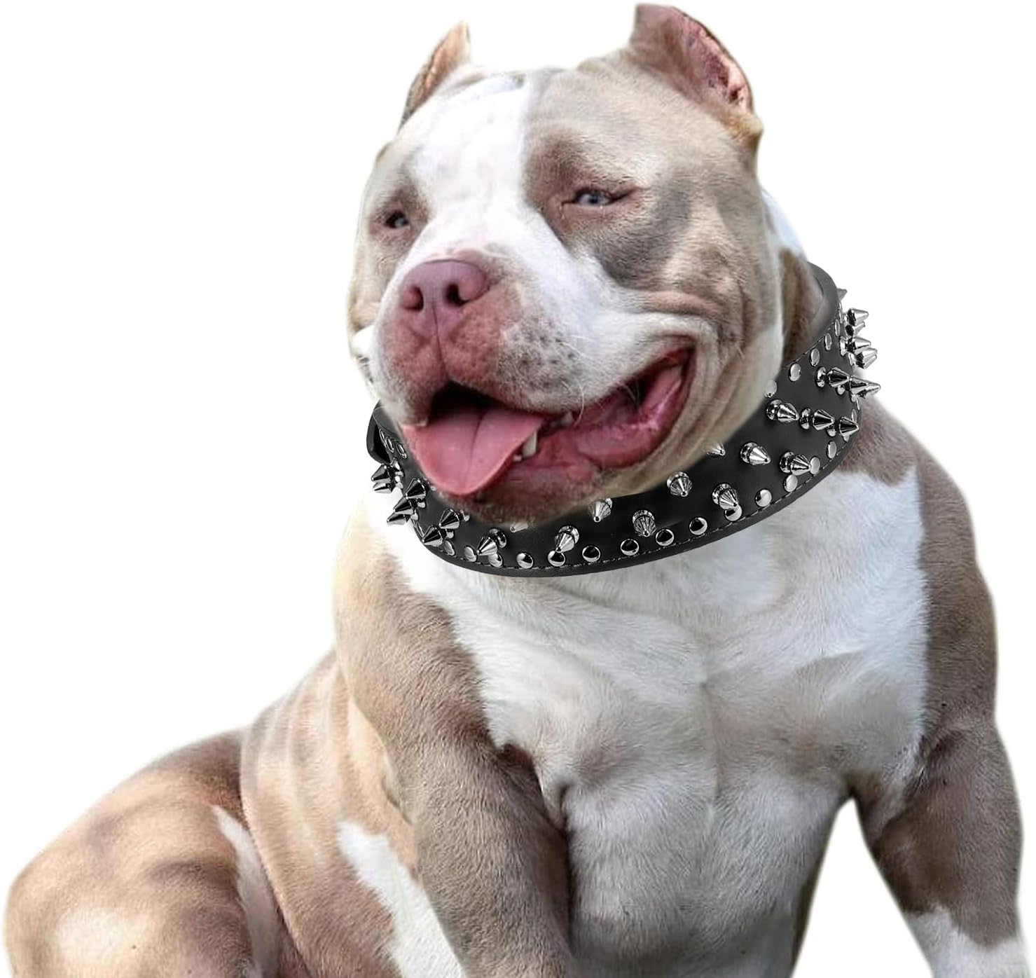 Adjustable Spiked Leather Dog Collar