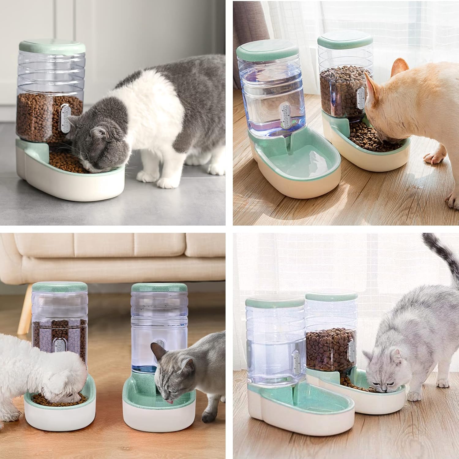 Automatic Pet Feeder and Water Dispenser