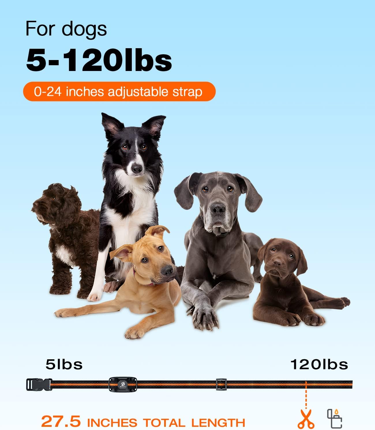 Waterproof Dog Shock Collar with Remote