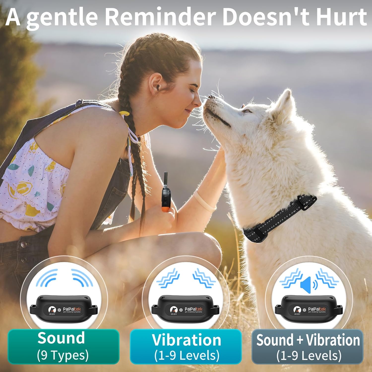 No Shock Dog Training Collar with Remote