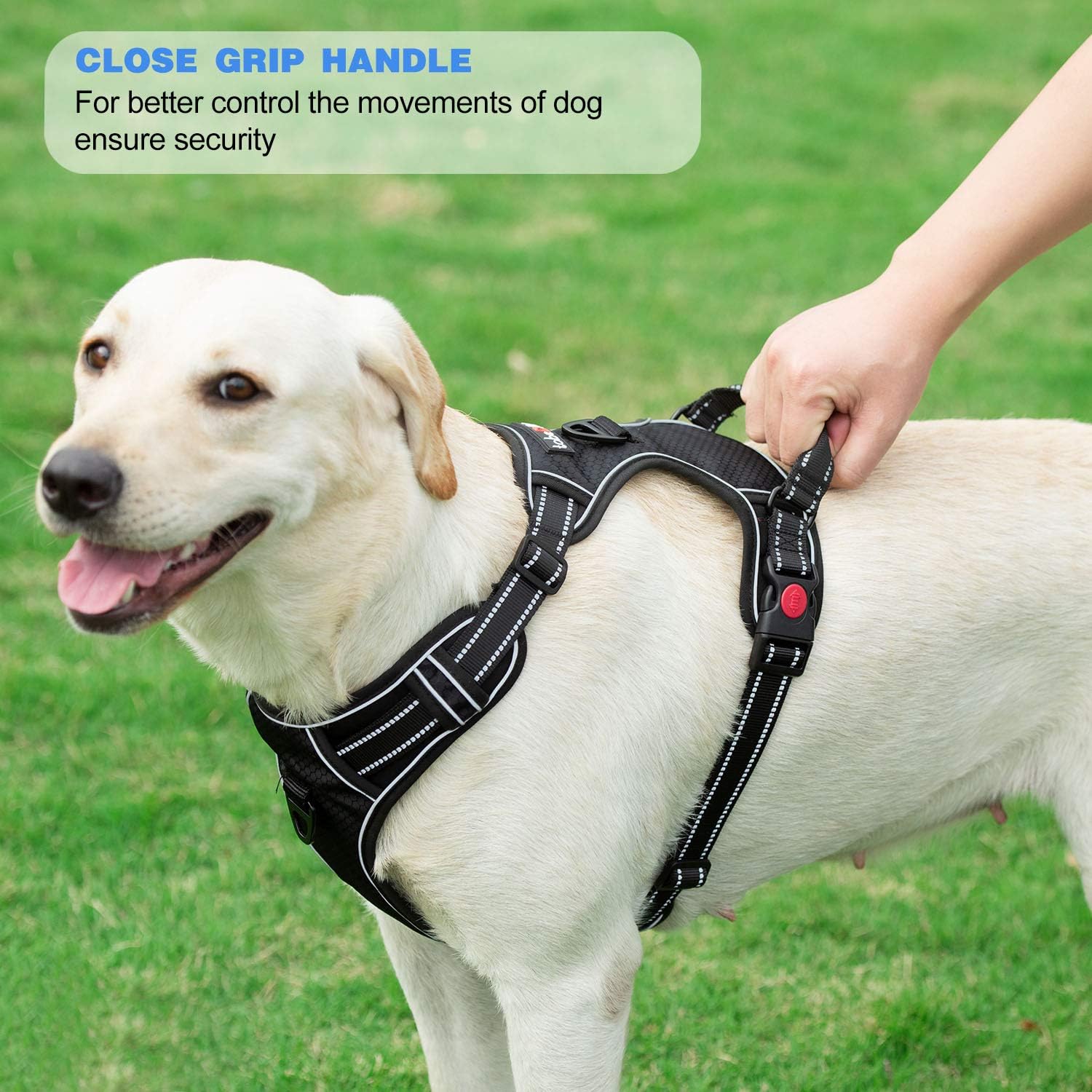 Adjustable Reflective No Pull Dog Harness