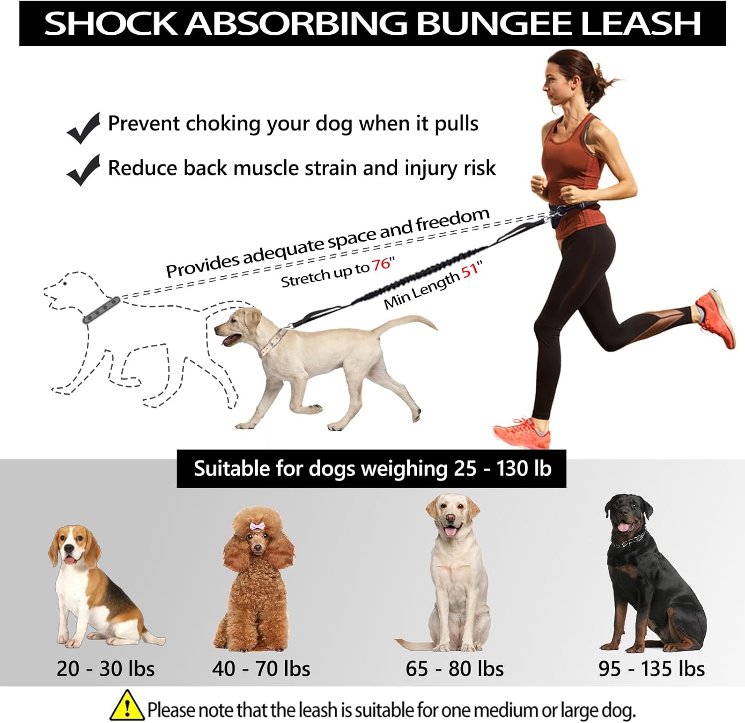 Hands Free Dog Running Leash with Pouch