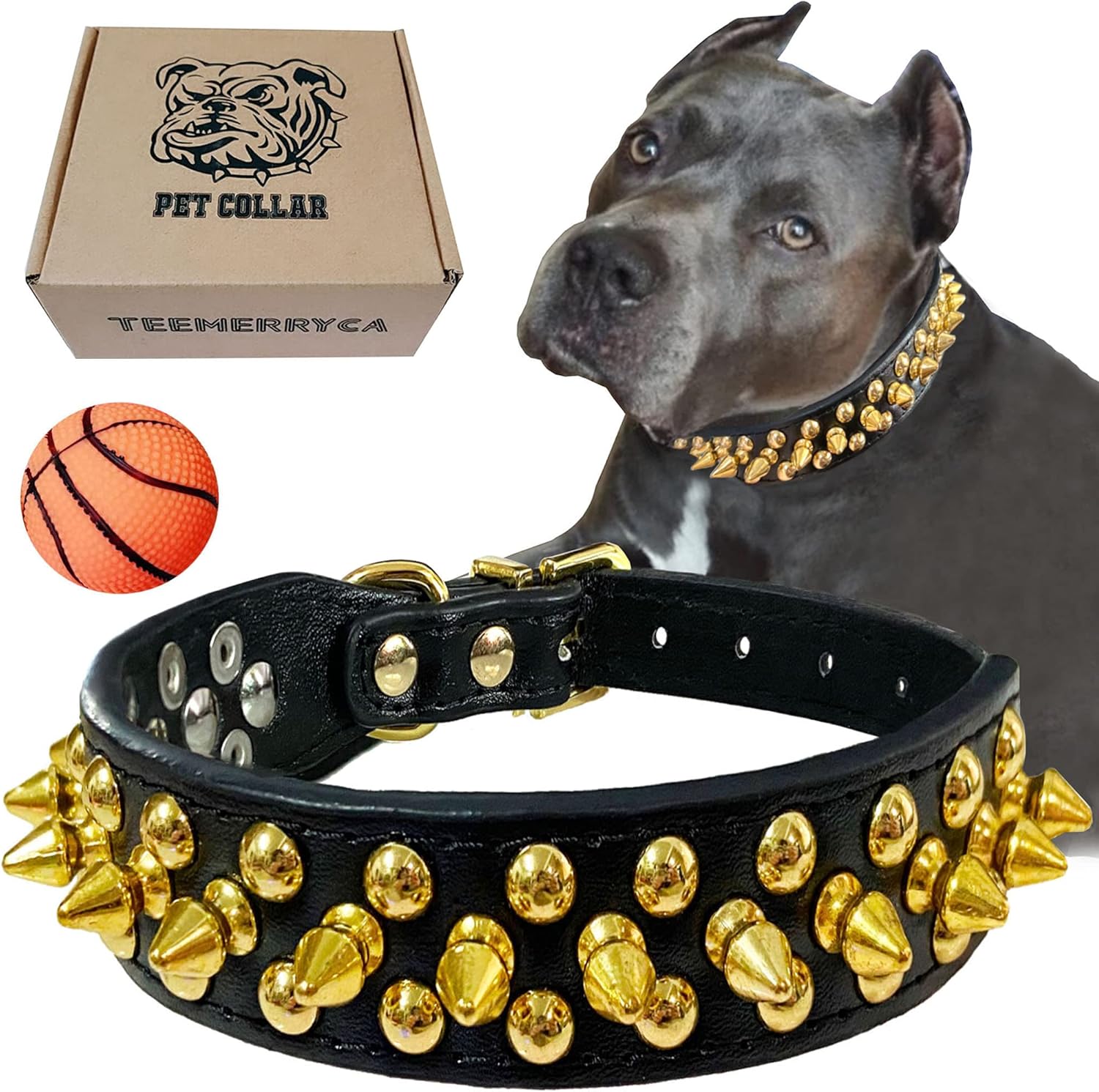 Black Leather Spiked Dog Collar Gold Studs