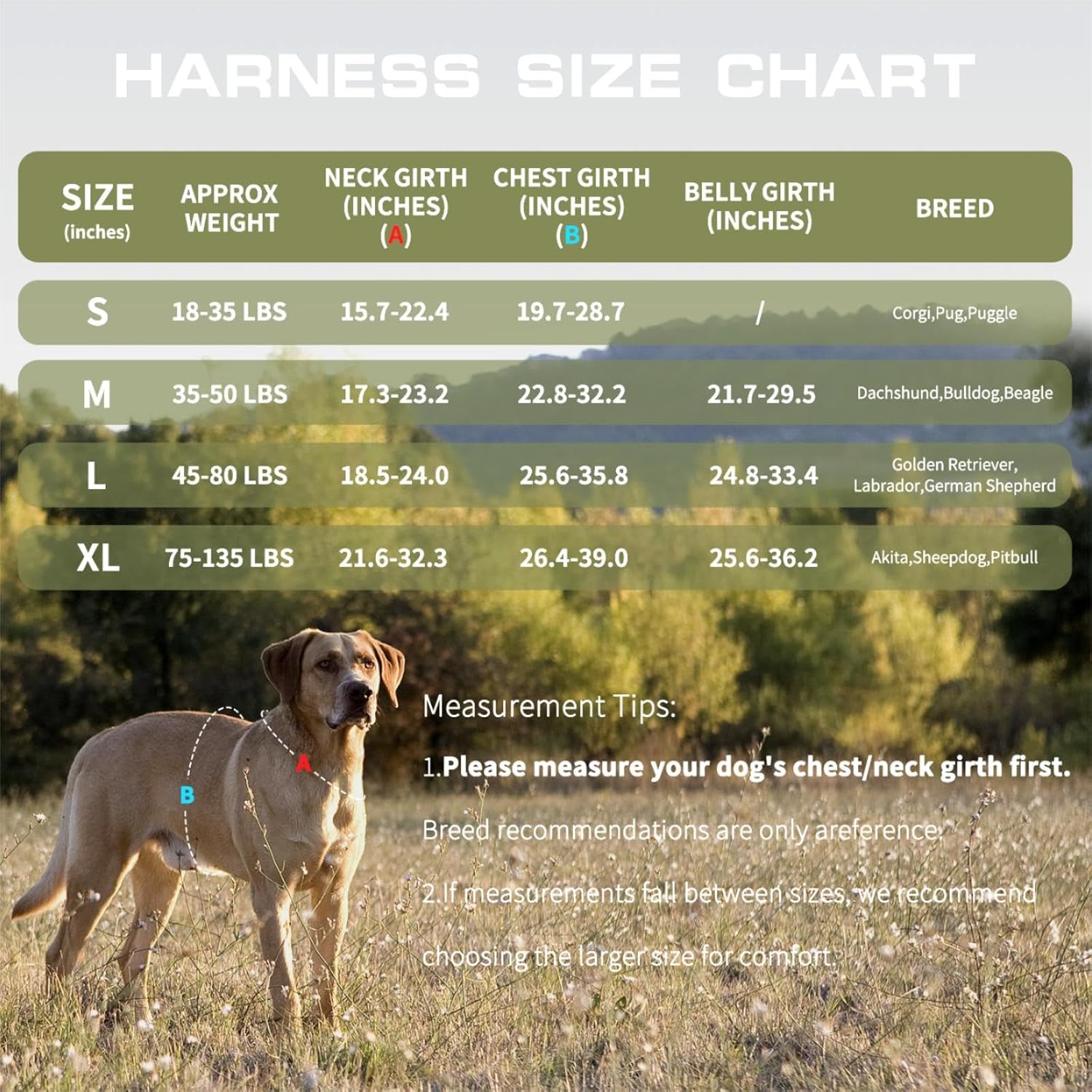 Heavy Duty Tactical Dog Harness Vest