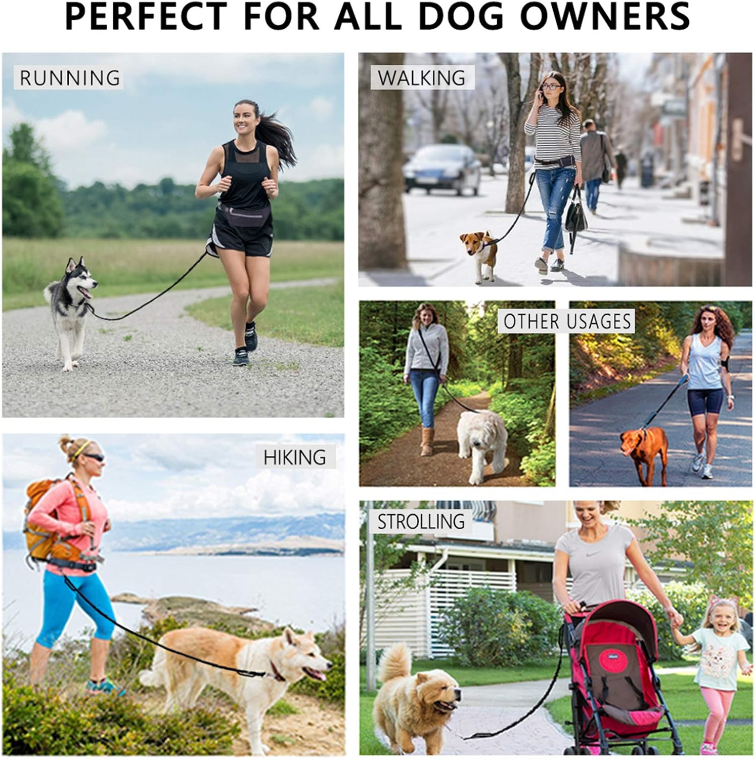 Hands Free Dog Running Leash with Pouch