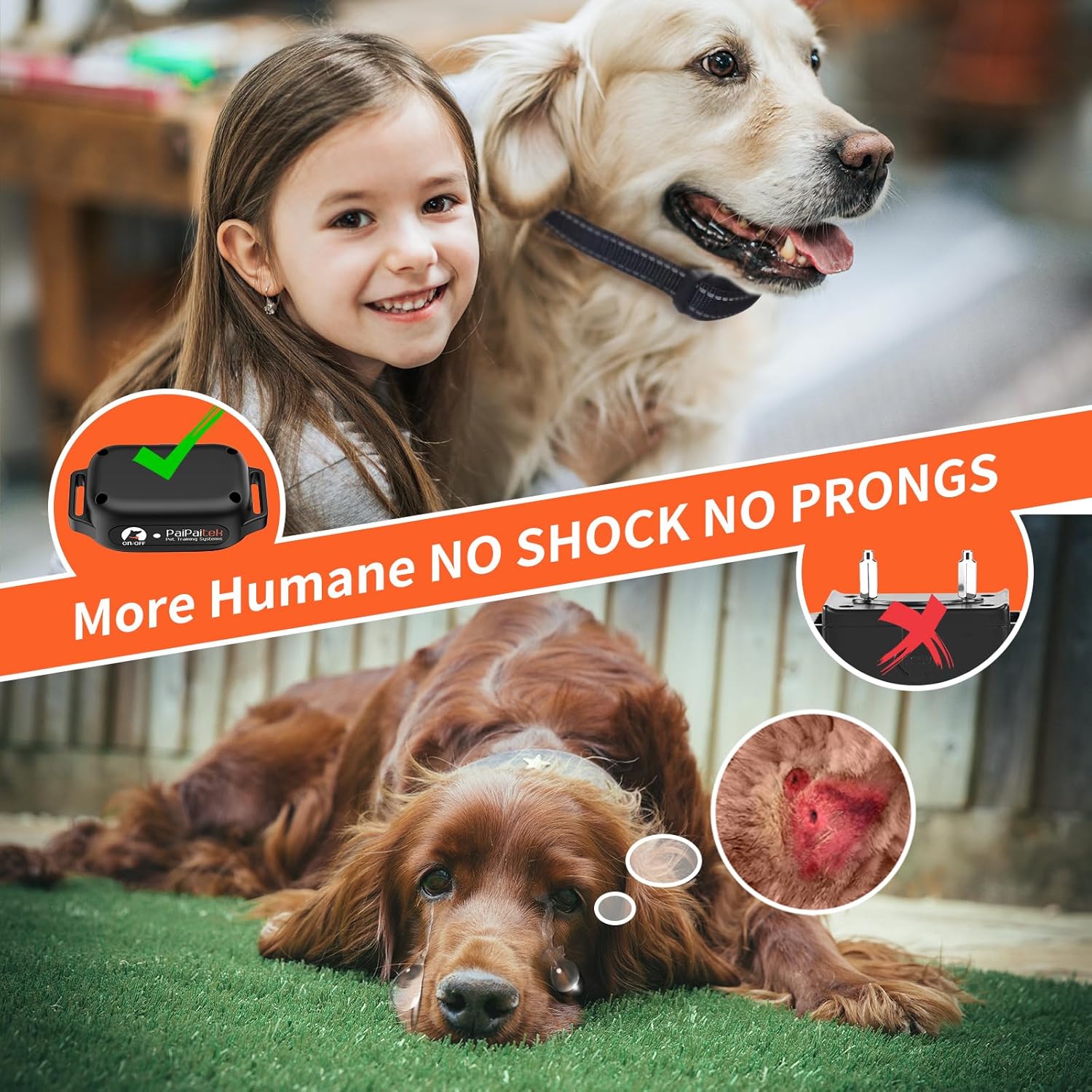 No Shock Dog Training Collar with Remote