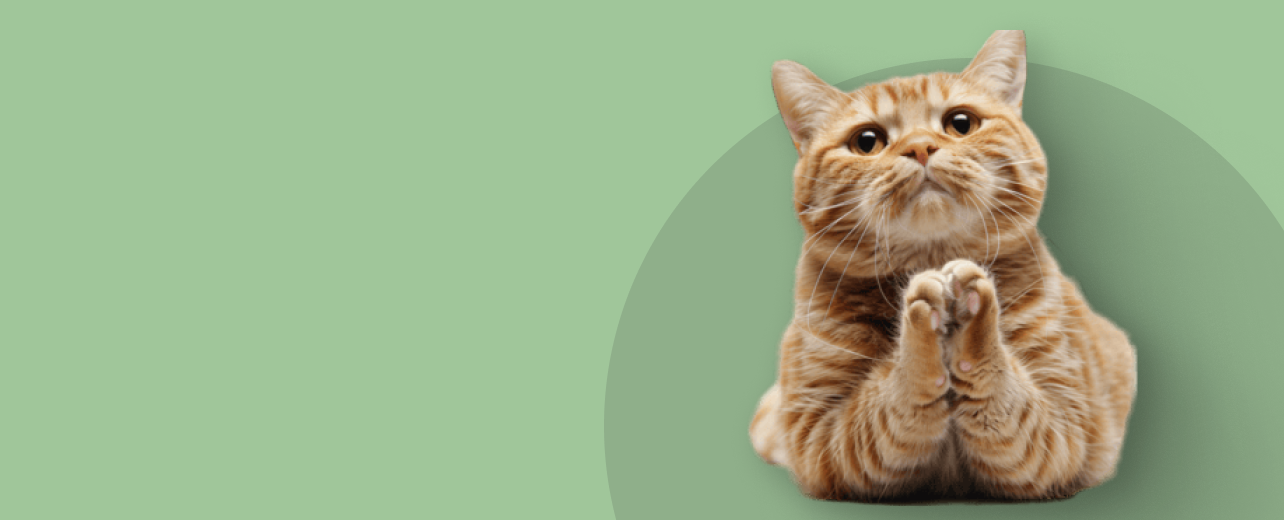_img_banner