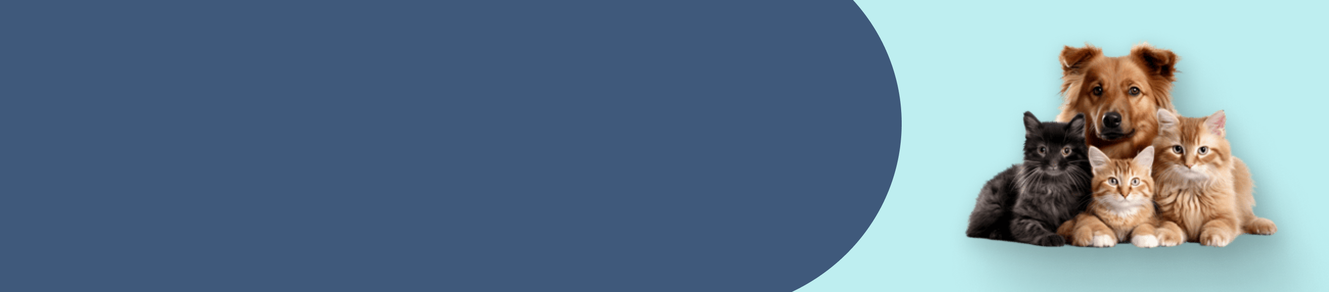 _img_banner